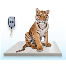 SR Scale Zoo Platform Wired with Remote Display36