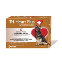 Tri-Heart Plus 51-100lb Brown 6 Dose 10ct
