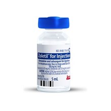Zoletil Injection 100mg/ml 5ml C3N  (14 day shelf life once reconstituted)